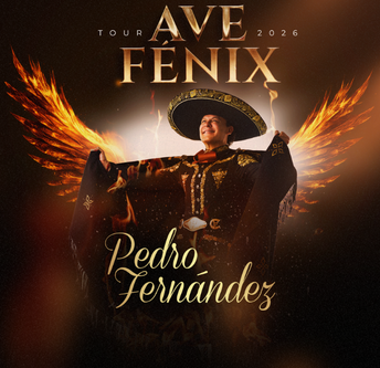 PEDRO FERN&Aacute;NDEZ