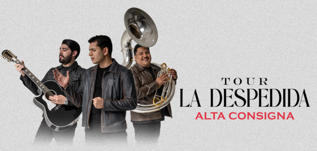 ALTA CONSIGNA