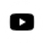 Auditorio Telmex Redes youtube